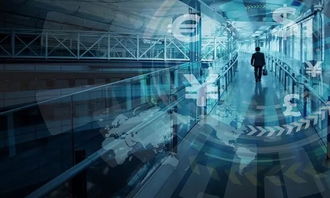 前沿译文 BigTech崛起与金融中介服务的结构性变革